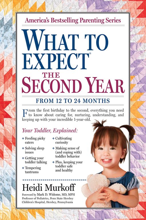 WHAT TO EXPECT: THE SECOND YEAR by Heidi Murkoff