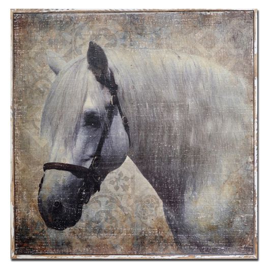 Home Decor - Canvas Printing (Horse)